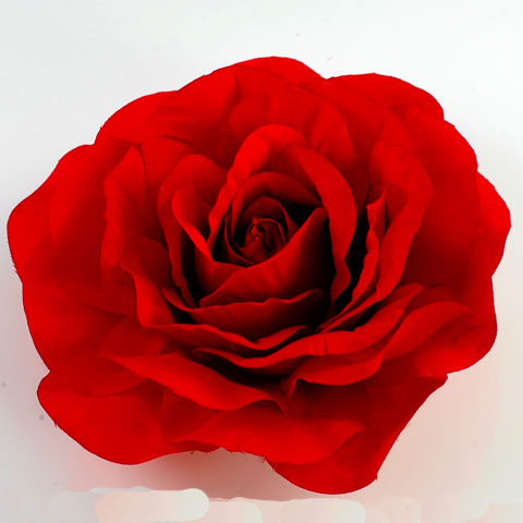 Red Rose Flower Pin