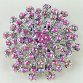 Fashion Brooch