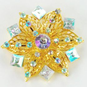 Fashion Brooch