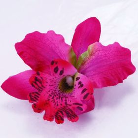 Orchid Flower