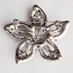 star brooch