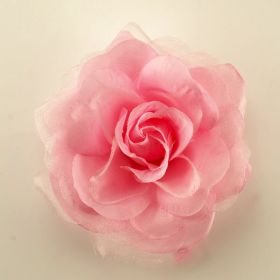 Rose Pink Flower