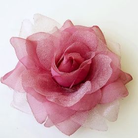 Rose Flower