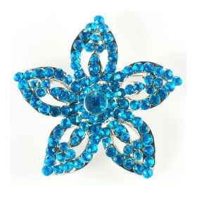 star brooch