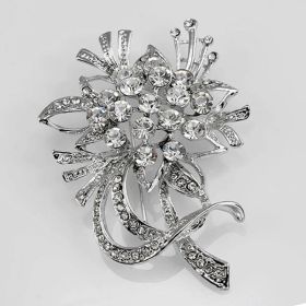 Crystal Fashion Brooches