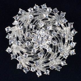 Fashion Brooch