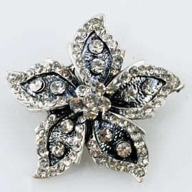 Star Brooch