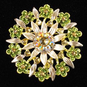 Antique Brooches