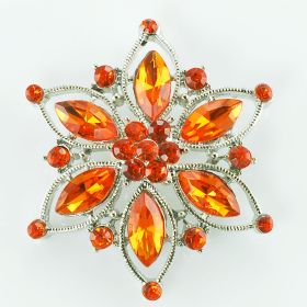 Star brooch