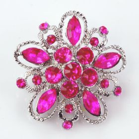 Fashion Brooch