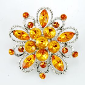 Fashion Brooch