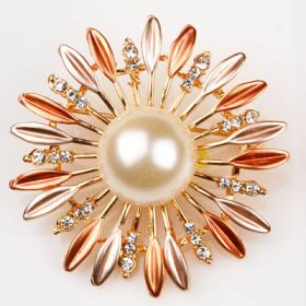 Fashion brooch