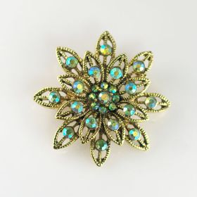 Anti Brooch