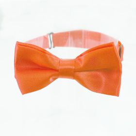 Men's bow tie