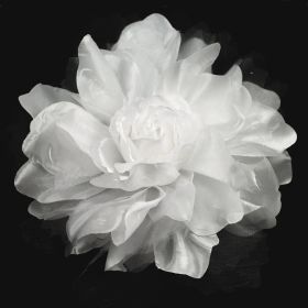 Large White Flower