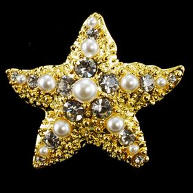 Star Fish Brooch