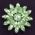Wholesale brooches