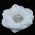 Large white flower