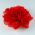 Red Wrinkle Flower pin