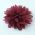 Burgundy Fabric Flower