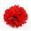 Red flower pin