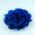 blue lace flower