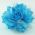 Aqua Blue Flower