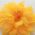 Yellow flower pin