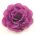 Purple Flower