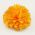 Yellow Flower Pin