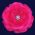 Artificial Flower Brooch