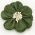 Wrinkle Flower pin