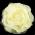 Fabricl Flower Brooch