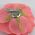 Fabric Rose Flower pin