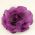 Organza Flower Pin