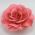 artificial flower pin brooch