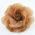 Organza Flower Pin