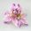 Orchid Flowe PIn clip