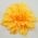 Yellow Silk Flower Pin