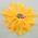 Yellow Silk Flower Pin