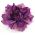 purple fabric flower