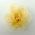 Yellow flower brooch