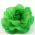 Green Fabric Flower