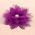 Chiffon Flower