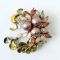 Antique Pearl Brooch