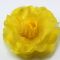 yellow flower pin