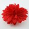 Red flower pin