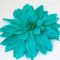 Large flower in