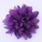 Purple satin flower