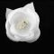 Wedding Flower